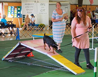 Girl, dog, and judge on agility course