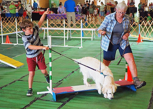 Images of 4-H'ers and dogs in competition at the fair.