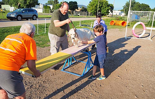 Adults helping child with dog on agility equipment